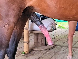 Sexo mujer y caballo