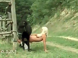 Teniendo sexo con un caballo