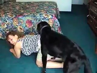 Sexo casero con perros